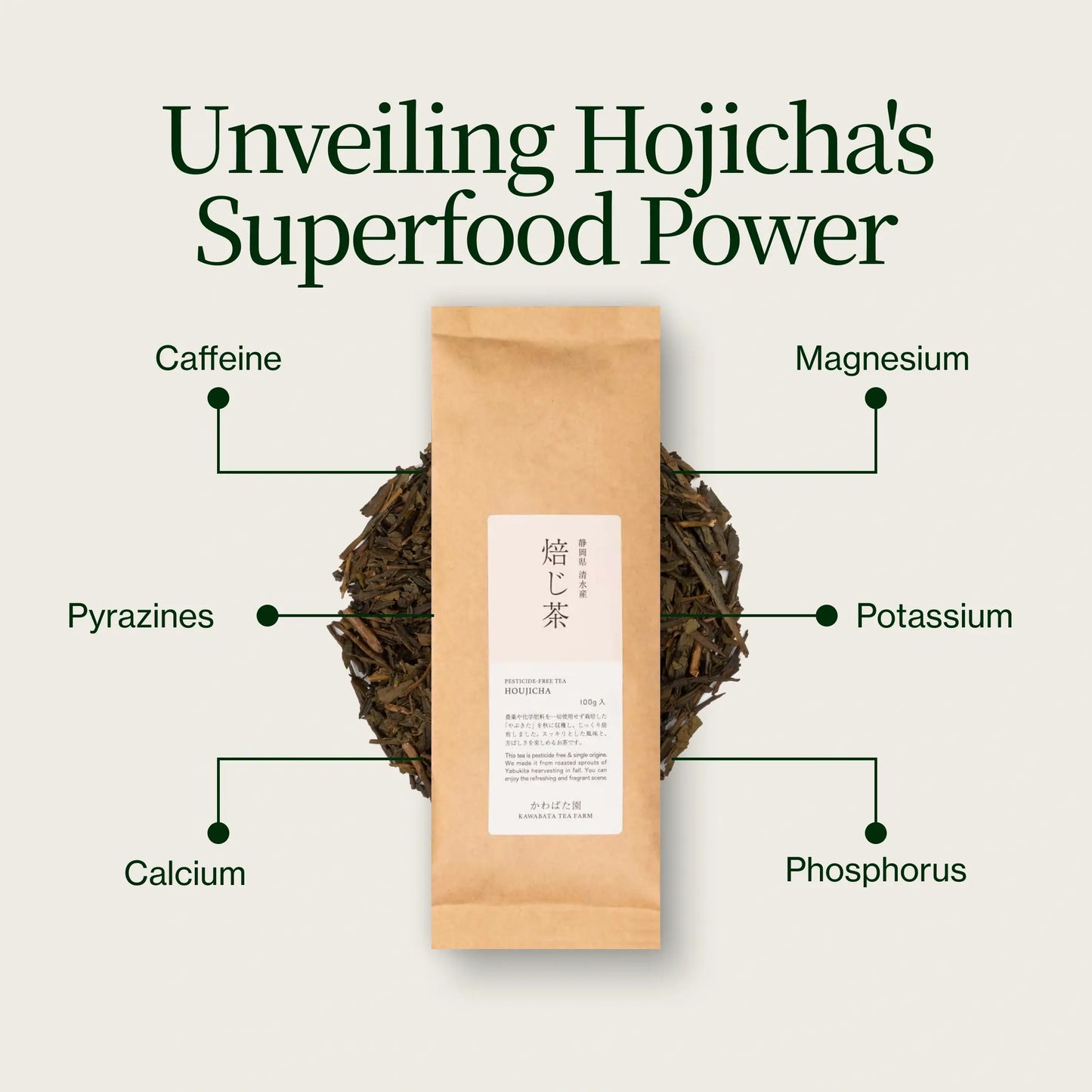 Shizuoka Hojicha Giapponese Kawabataen