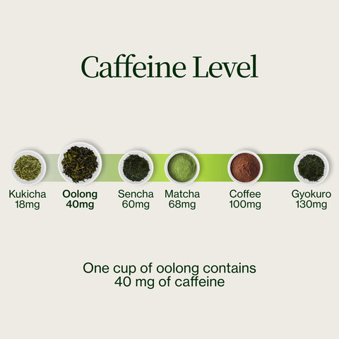 Tè Oolong di alta montagna Miyazaki
