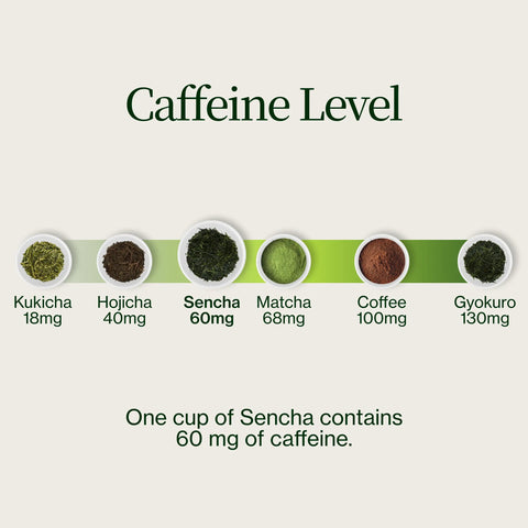 Sencha Shizuoka Yamaga no Sato