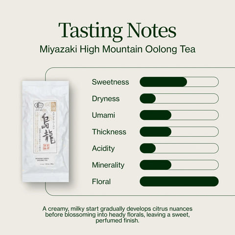 Tè Oolong di alta montagna Miyazaki