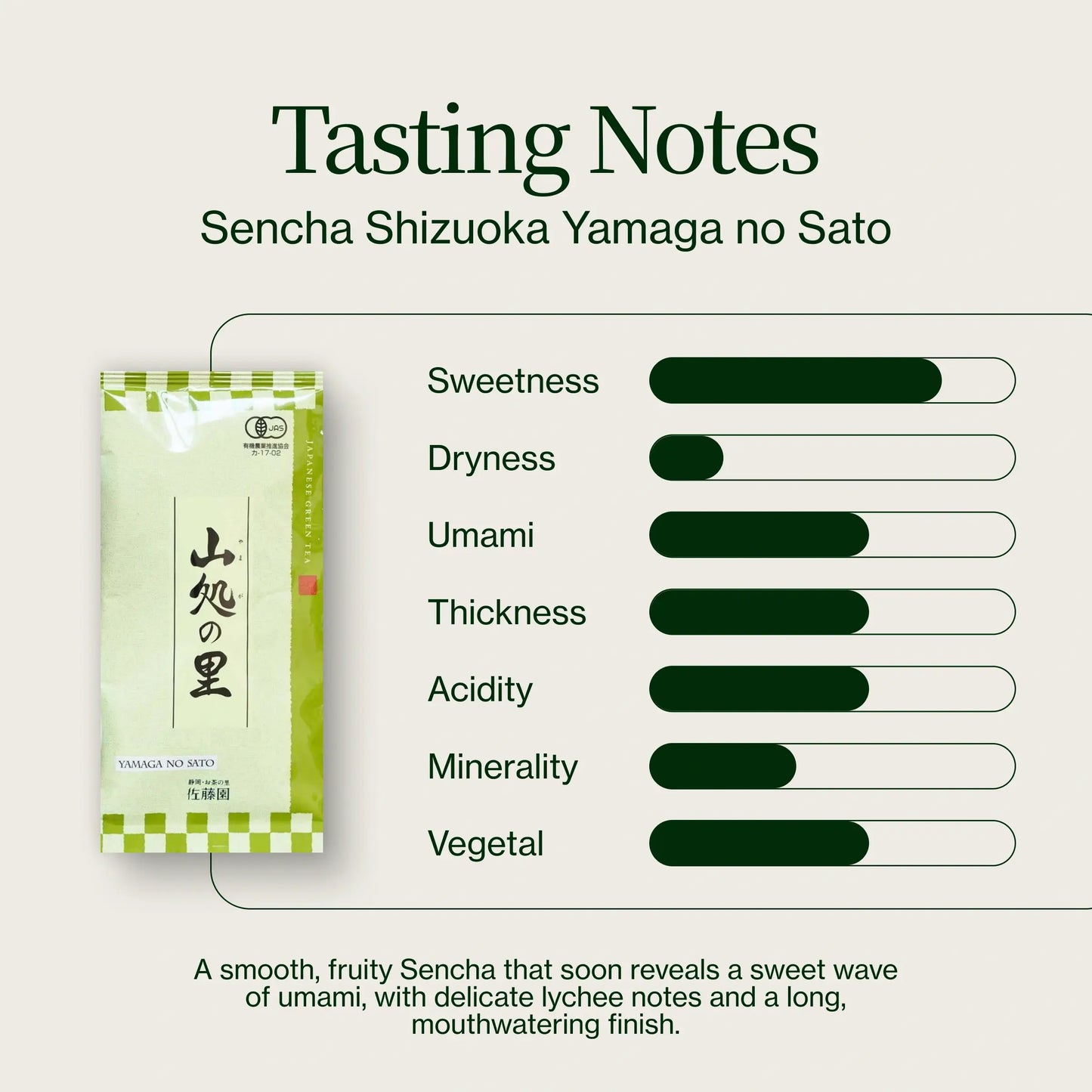 Tè Verde Sencha Yamaga No Sato