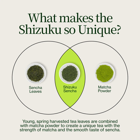 Sencha Shizuku con Polvere di matcha