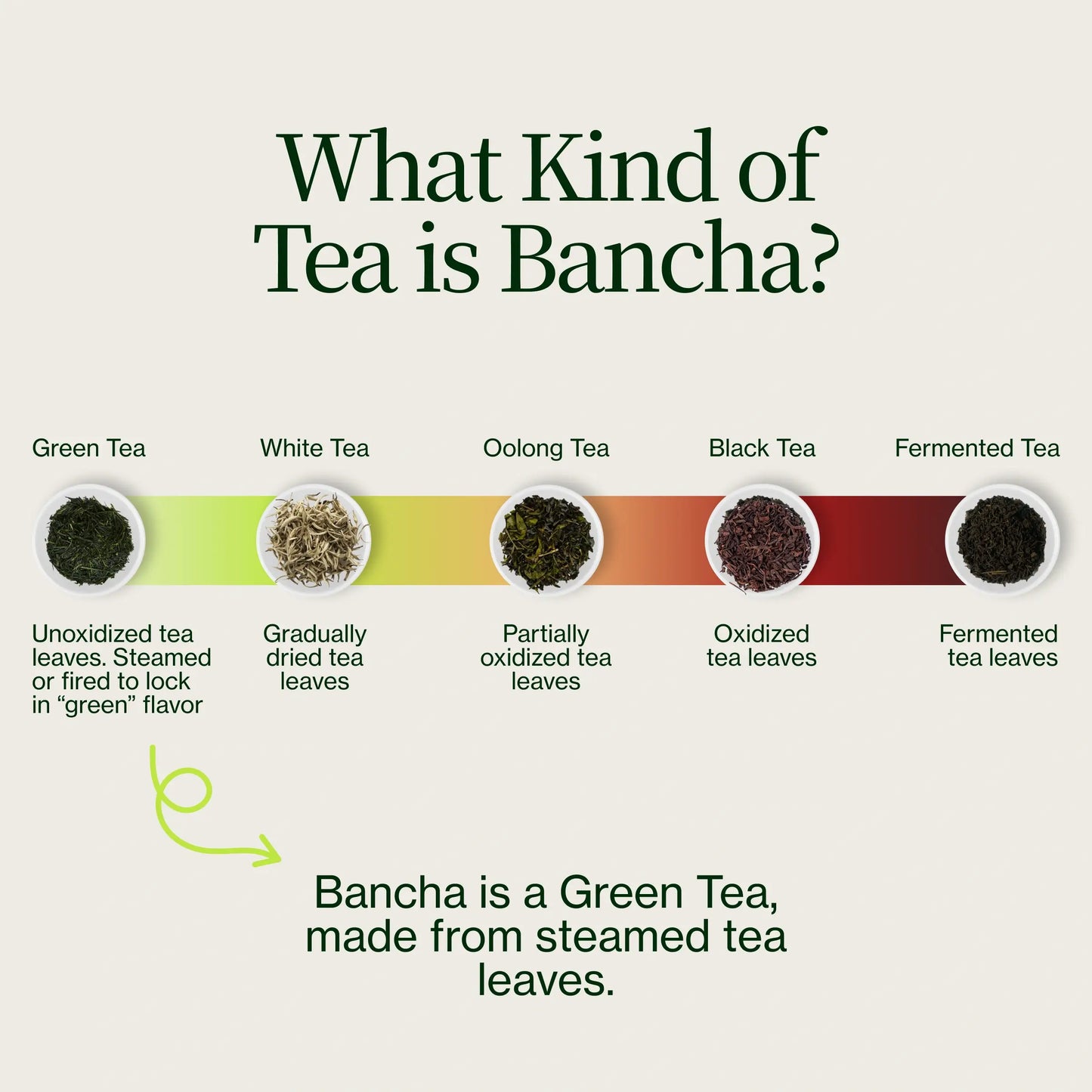 Tè Verde Bancha