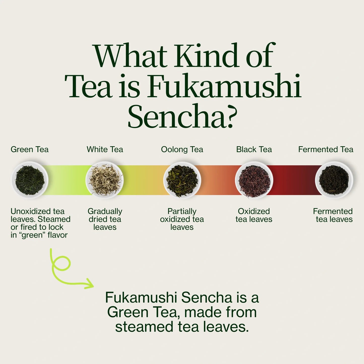 Fukamushi Sencha Kagoshima Murasaki