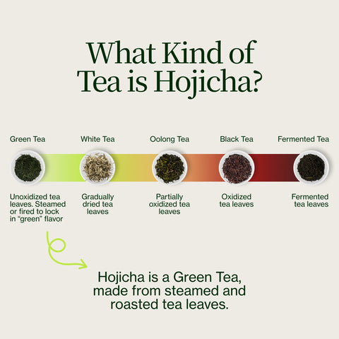 Polvere di hojicha