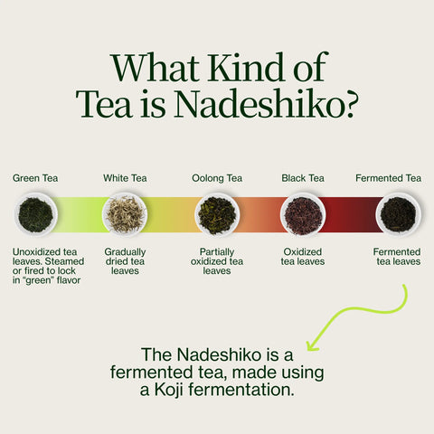 Tè fermentato giapponese Nadeshiko Rose