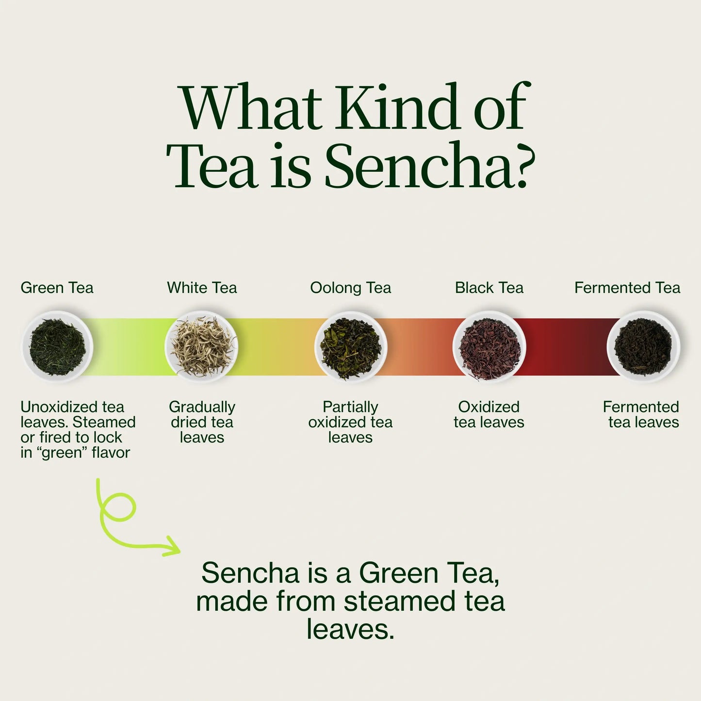 Sencha Kirishima Henta