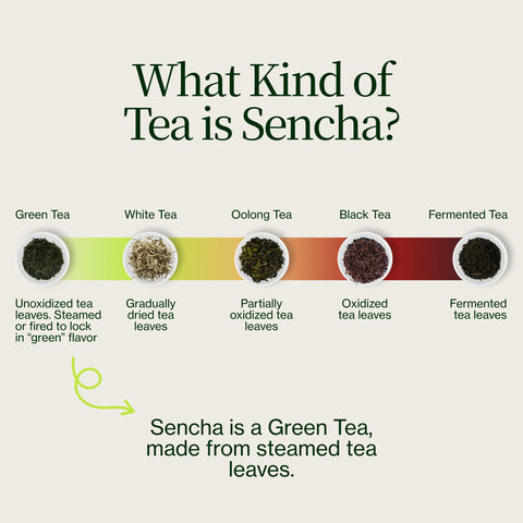 Sencha dorato Yabukita Kasugaen